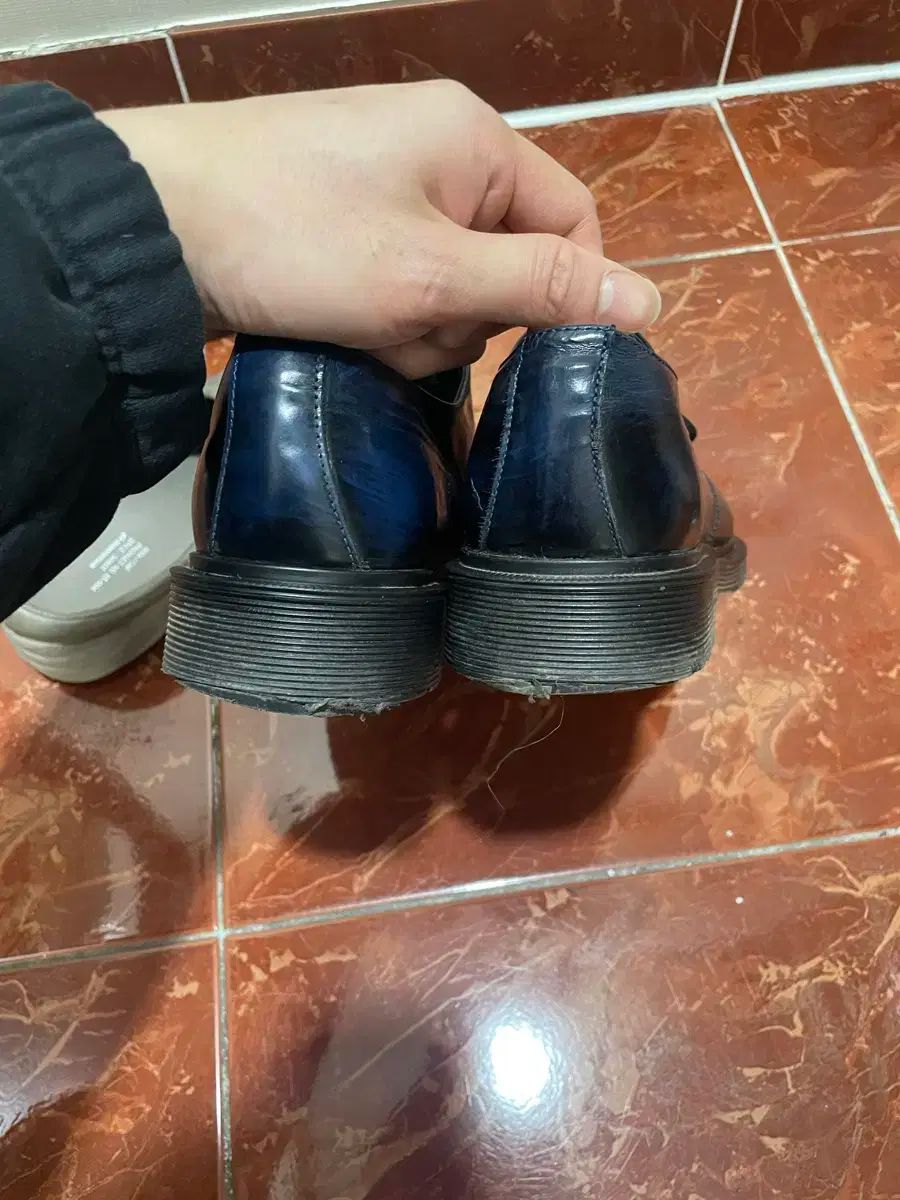 ダービー 10