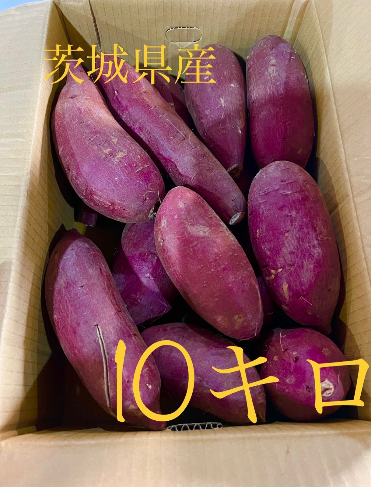 限定数のみ 茨城県産 シルクスイート 10kg - 通販 - www.lmsaude.com.br