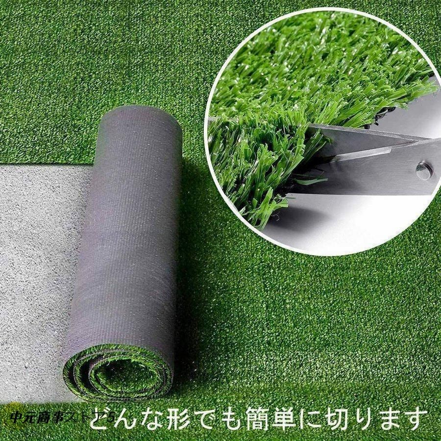 庭 屋上緑化