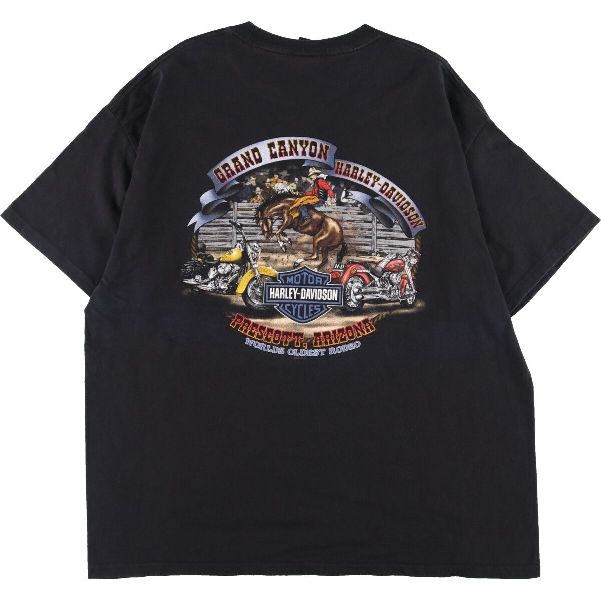 古着 ハーレーダビッドソン Harley-Davidson ピンナップガール 両面 