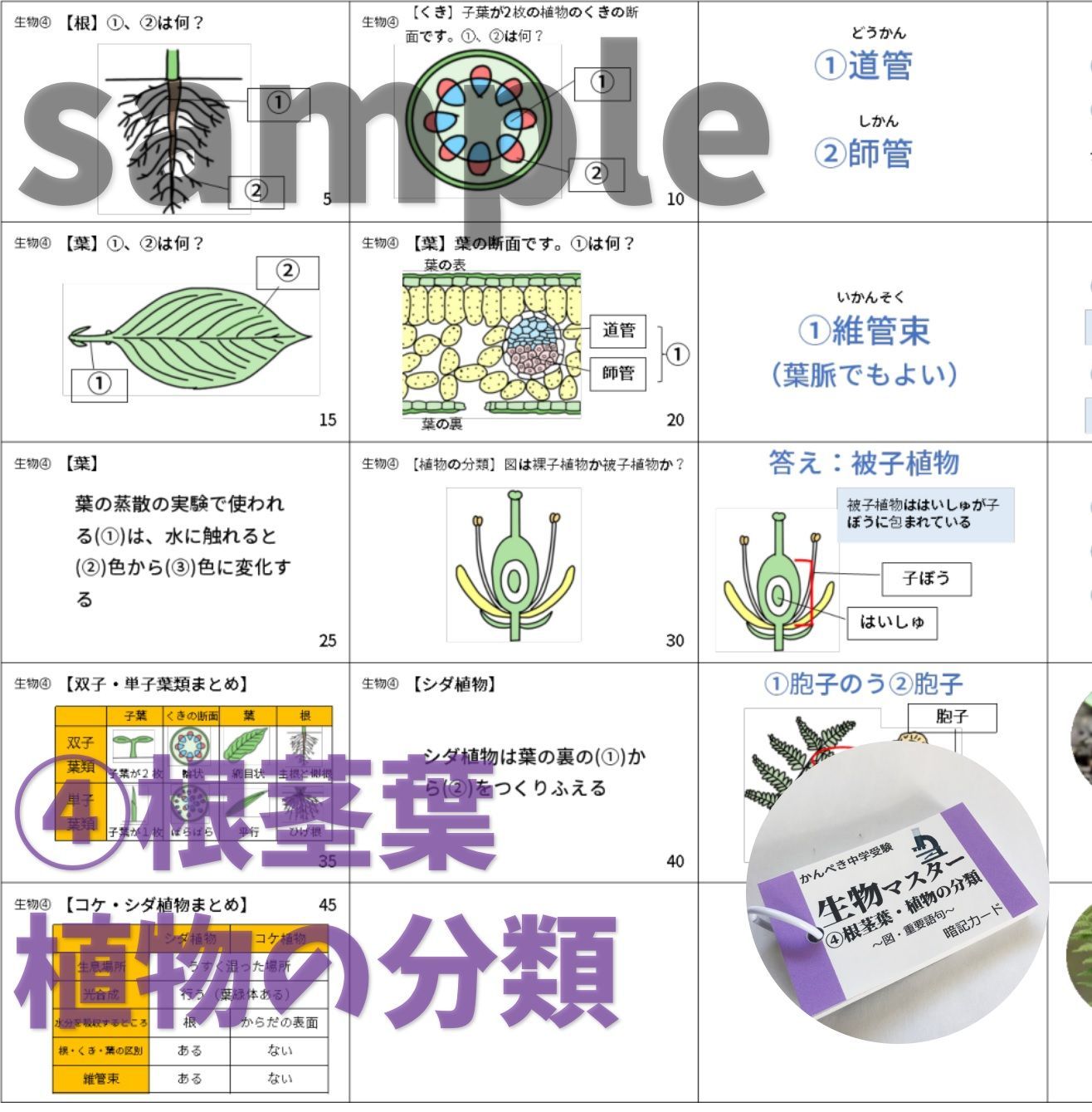 【074】生物・化学・地学・物理マスターセット　中学受験理科　テスト対策 ○【074】セット商品 かんぺき中学受験理科 化学・地学・生物