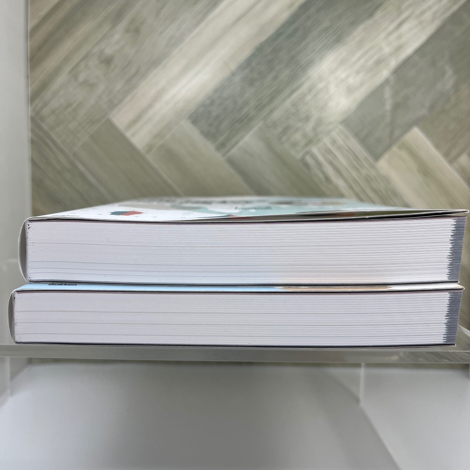  村瀬のゼロからわかる地理B 系統地理編 書込み無し 地図 旅行ガイド 本