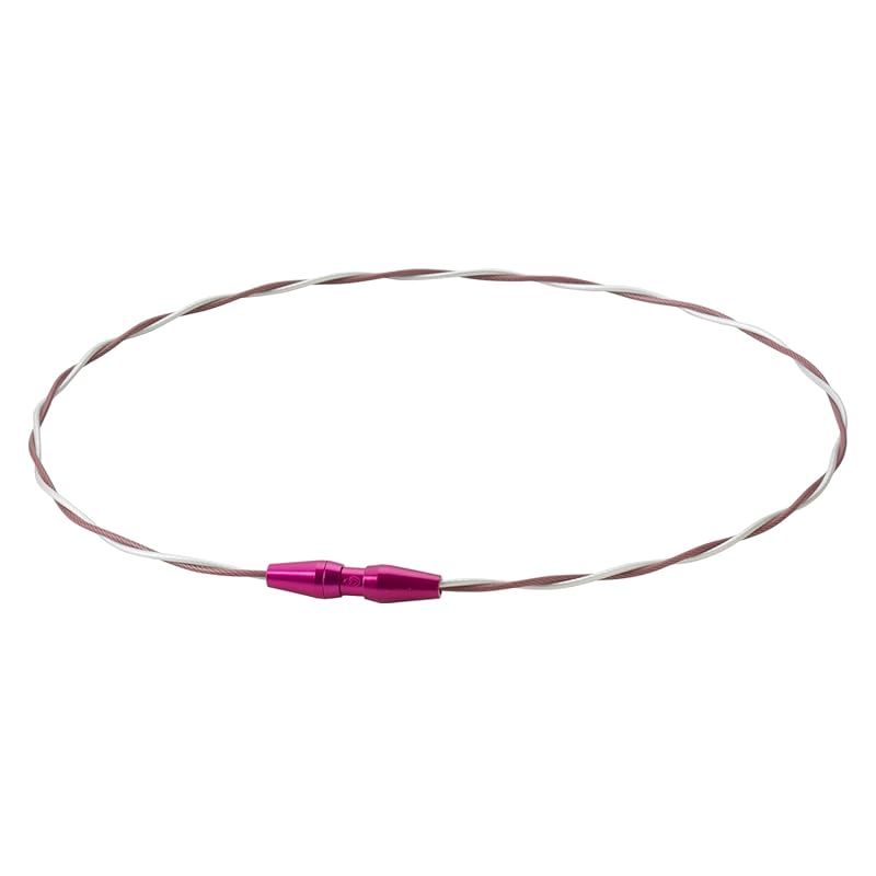 佐藤輝明選手愛用商品】phiten(ファイテン) ネックレス RAKUWA