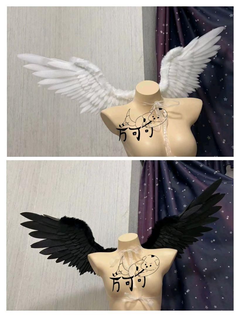 爪爪匣子