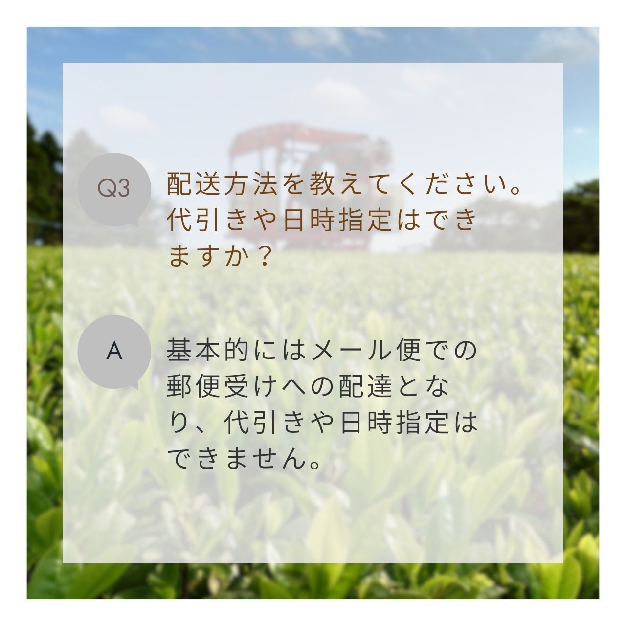松下製茶 種子島の有機緑茶『やぶきた』 茶葉(リーフ) 100g