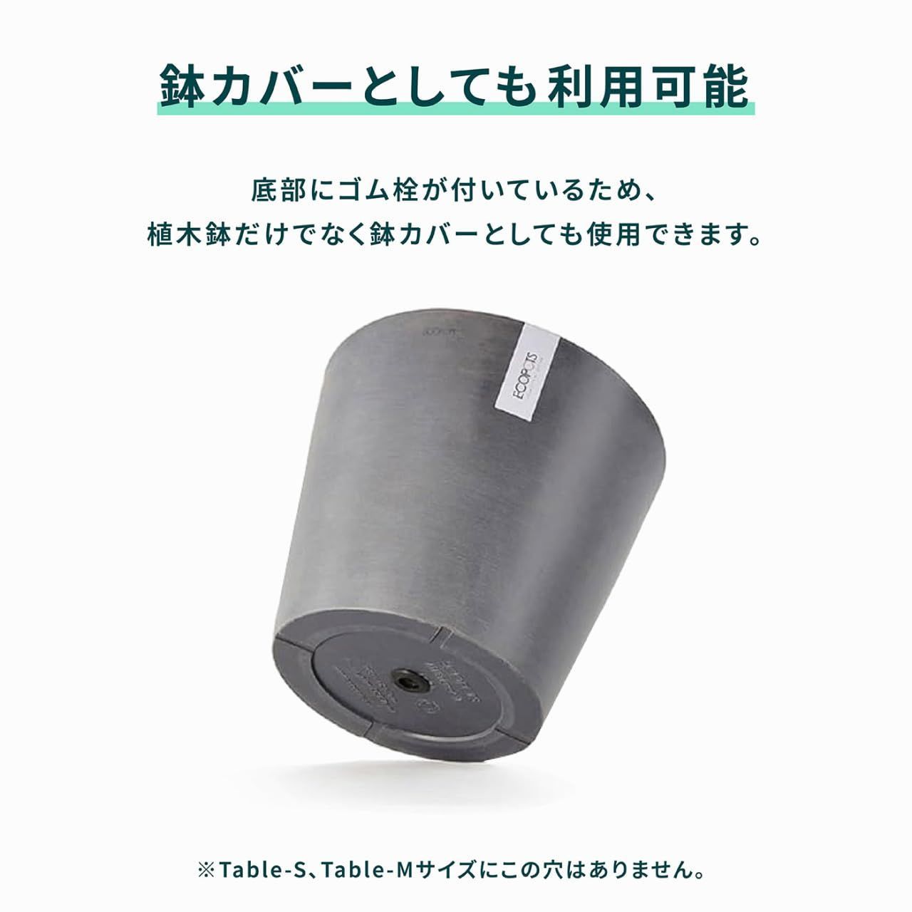 Amsterdam エコポッツ