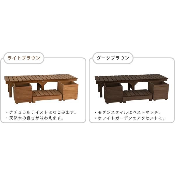 鉢植え