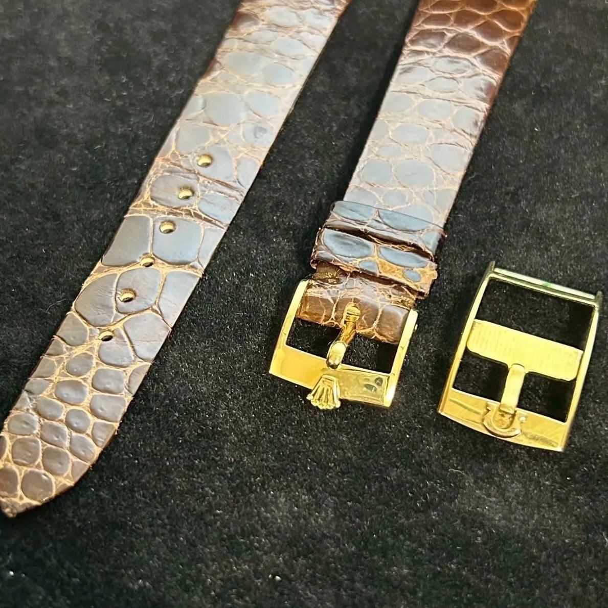 Rolex ロレックス純正クロコダイルベルト 純正尾錠付 - OMEGA オメガ純正尾錠16mm セット