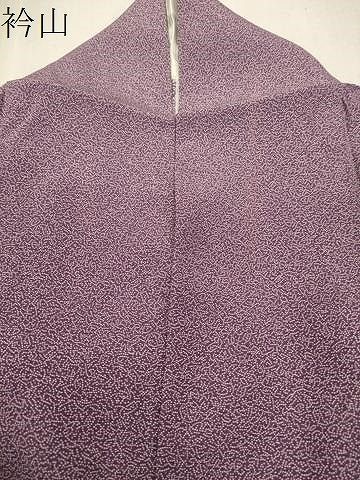 平和屋着物＊夏物 江戸小紋 絽 寄せ小紋柄 正絹 逸品 CAAU9125gh  