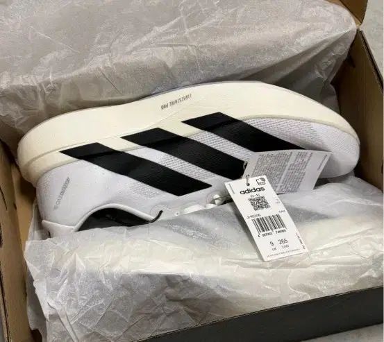 村山輝記製作・クワガタ標本 トカラノコギリクワガタ全島 2025年最新