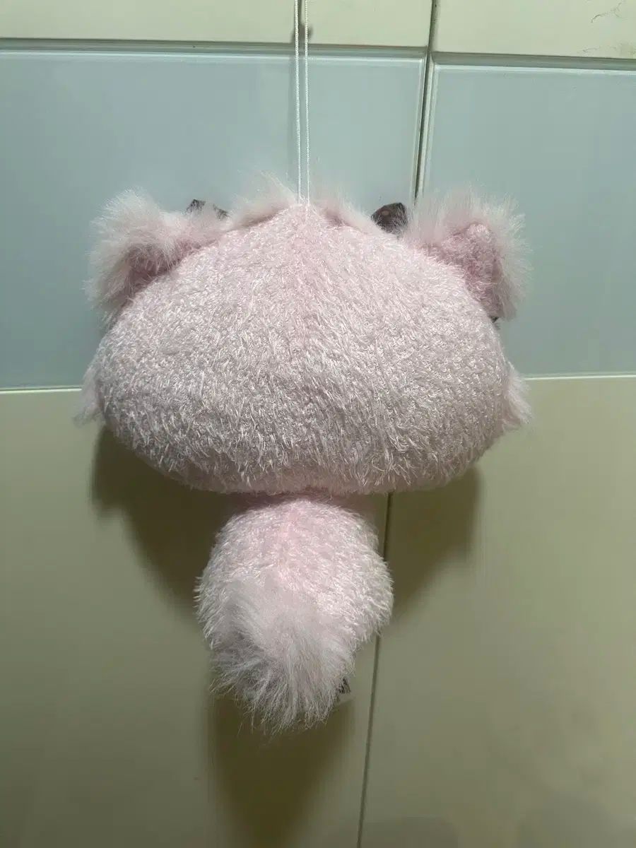 ハニーキュート