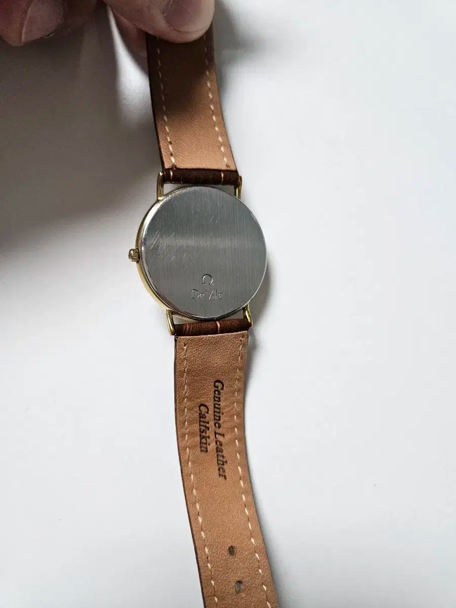 THEIN タイン 1 1/4C ポーチ付き THEIN タイン 1 1/4C ポーチ付き 楽天