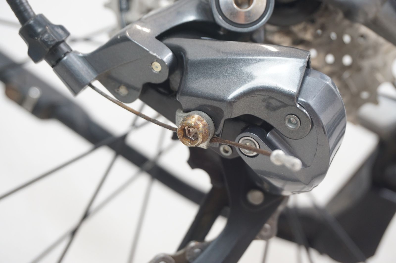 ジャイアント FORMA