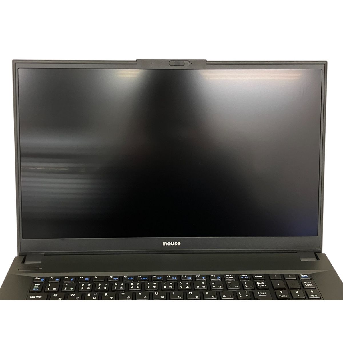 17.3型