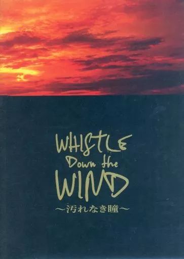 パンフレット ≪パンフレット(舞台)≫ パンフ)Whistle Down the WIND