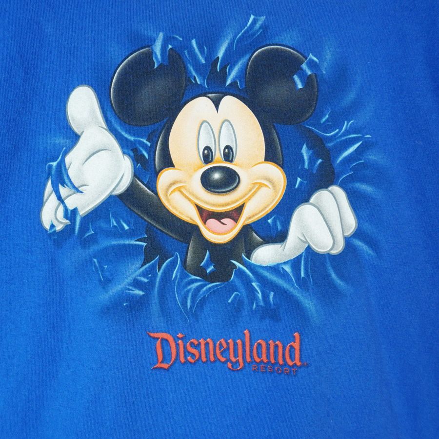 海外限定！ディズニーランドリゾートDisneylandresortキッズ