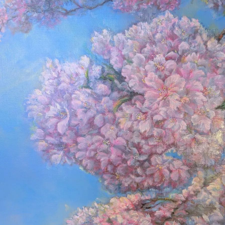 桜風景画 painterTMK 真筆 油絵風景画 河津桜 インテリア 油絵