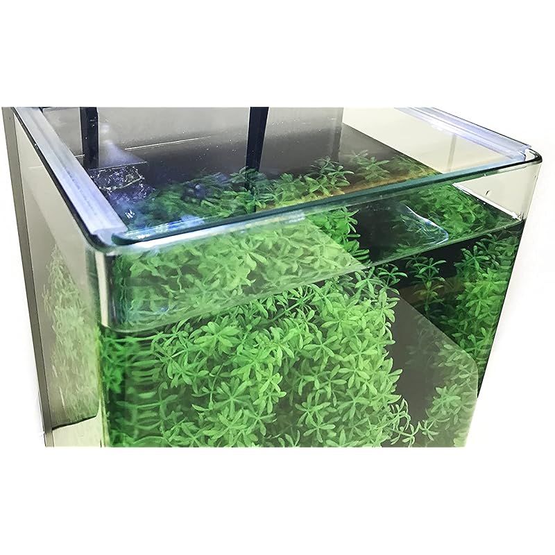 約12L ガラス