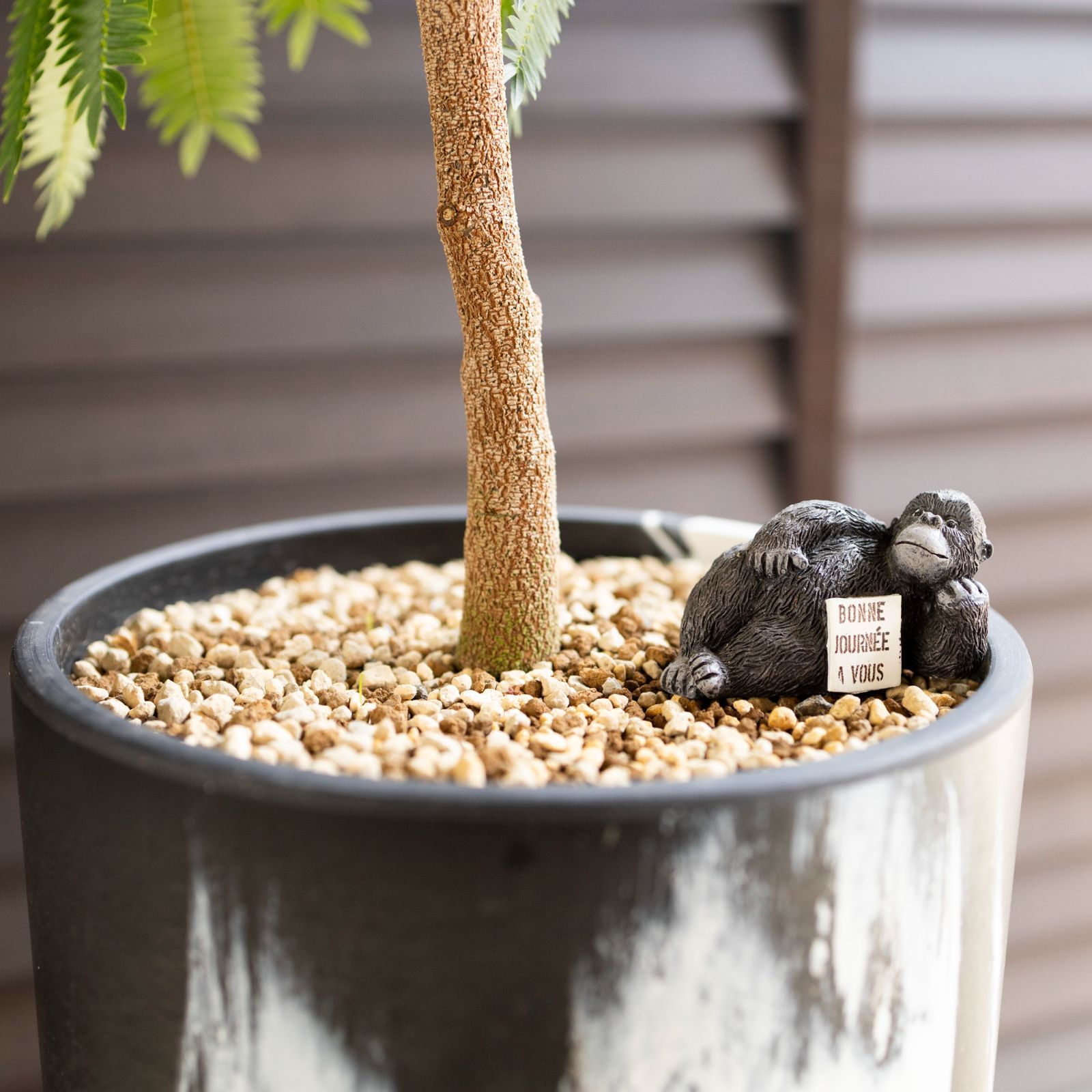 バランス◎145cmエバーフレッシュ 曲がり 7号 観葉植物 室内 大型