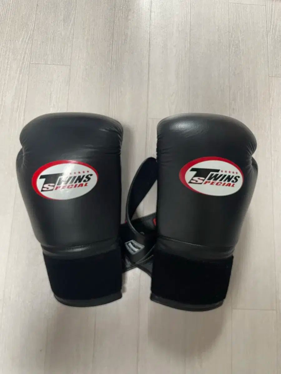 TWINS ツインズ エアメッシュ ボクシング グローブ 16オンス