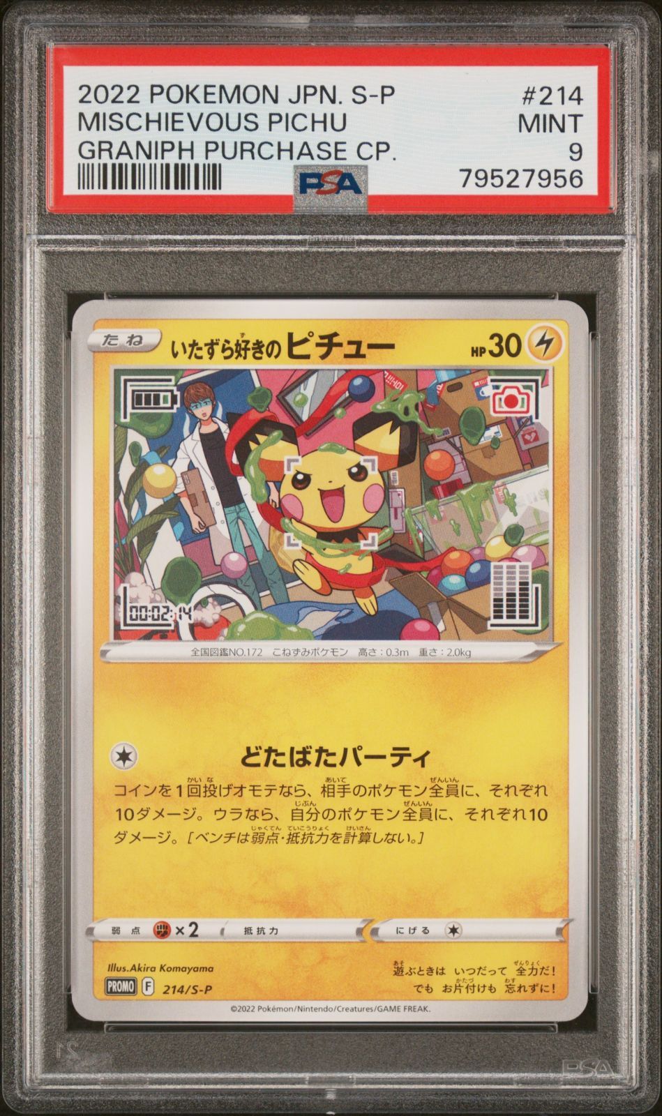 ピチュー_プレミアムファイル2 PROMO PSA10鑑定品 ピチュー_プレミアムファイル2 PROMO PSA10鑑定品 2025年最新