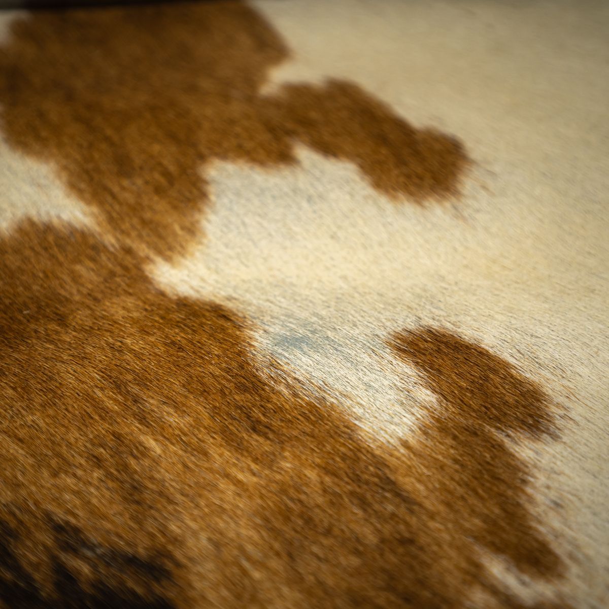 ル コルビュジエ