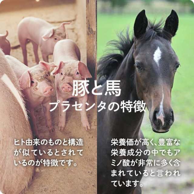 馬プラセンタ