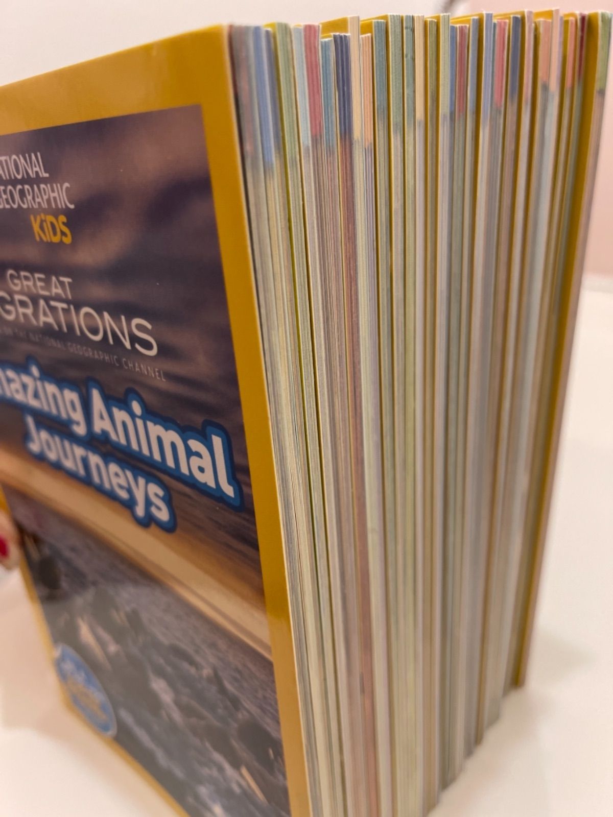 【新品海外購入]31冊NationalGeographickids level3 National Geographic LEVEL 3 Readers 1-15 CP Series Paperback
