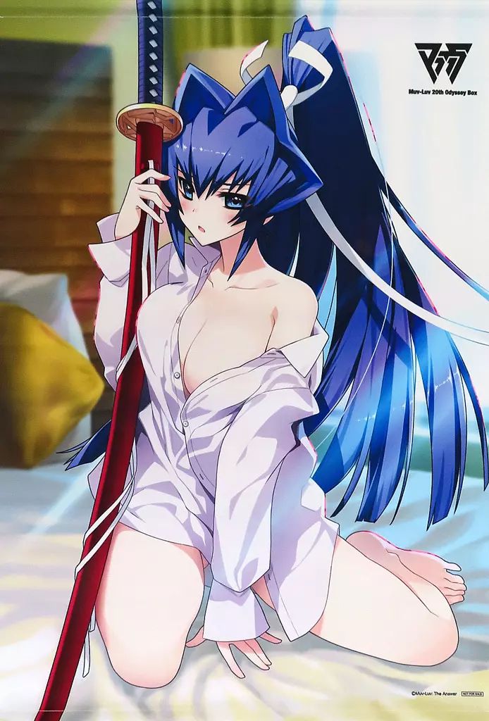 タペストリー 御剣冥夜 B2タペストリー Switchソフト Muv-Luv マブラヴ 20th Odyssey Box ソフマップ