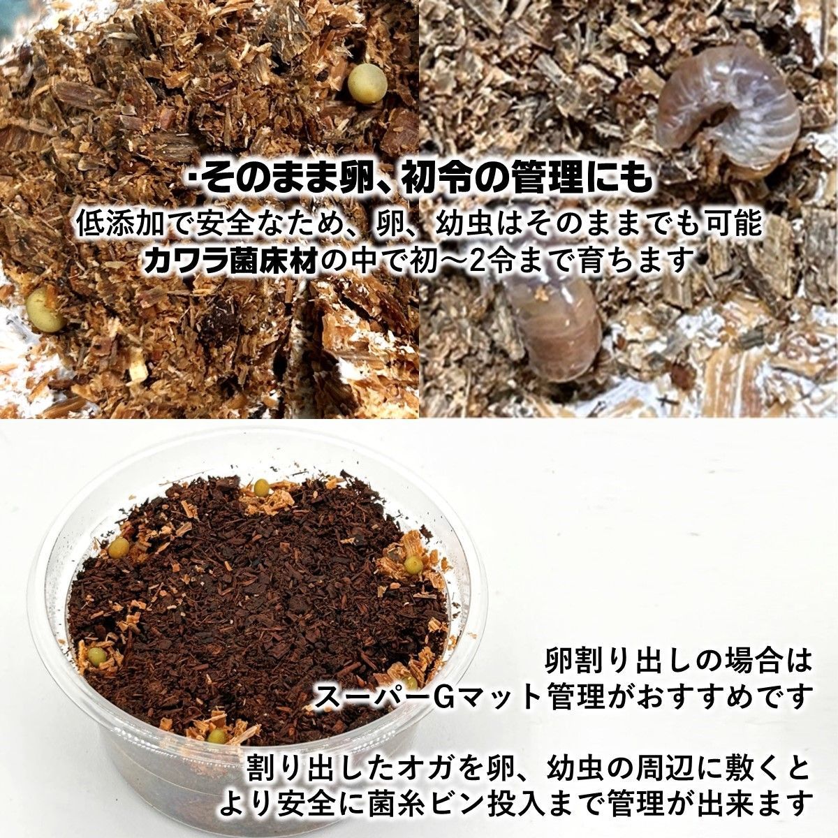 下処理不要