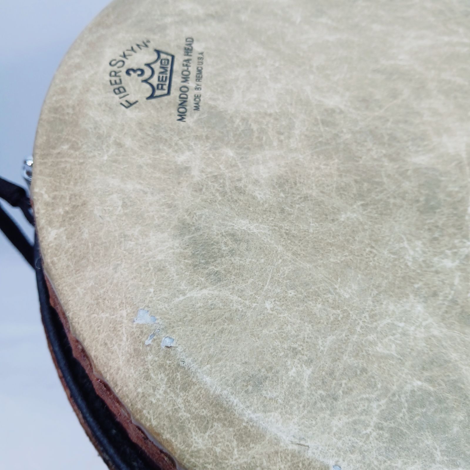 REMO ( レモ ) ジャンベ 14インチ fiberskyn 3 【公式通販】