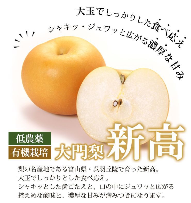 予約 10月上旬出荷予定】秀品 大門梨 低農薬 有機栽培 新高 10kg 富山