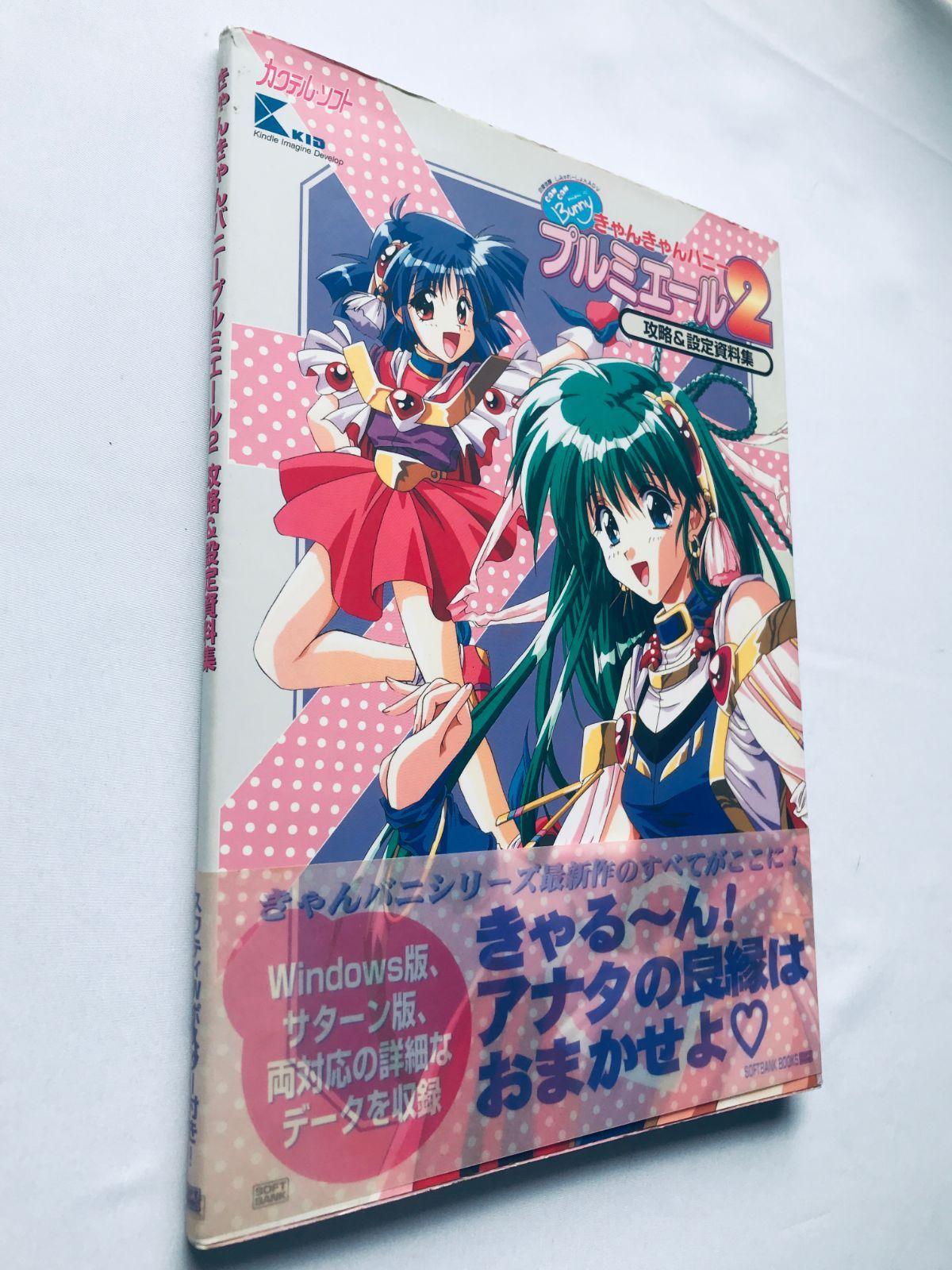 きゃんきゃんバニー プルミエール2 攻略＆設定資料集 帯 ポスター