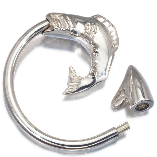 魚