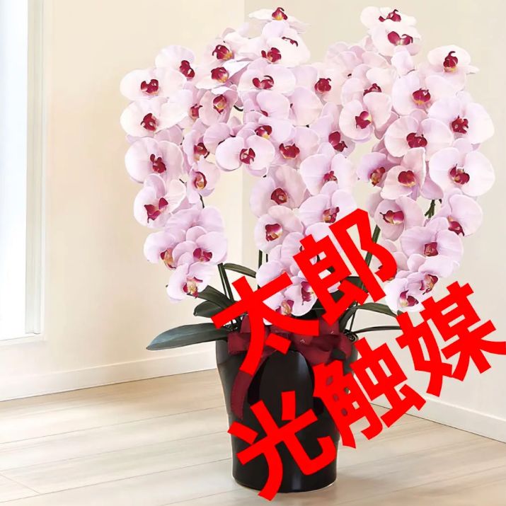 光の楽園 光触媒 人工観葉植物 フェイクグリーン プレミアム胡蝶蘭7