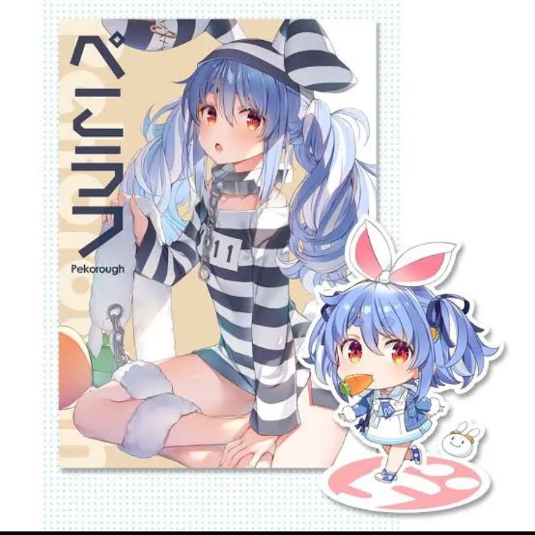 【新品未開封】兎田ぺこら　タペストリー c103 憂姫はぐれ 兎田ぺこら WIREFRAME c103 新刊 タペストリー 憂姫はぐれ