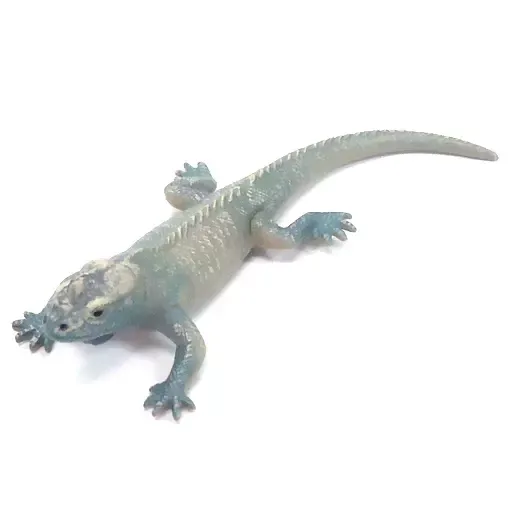 2025年最新】原色爬虫類トカゲ図鑑の人気アイテム - メルカリ