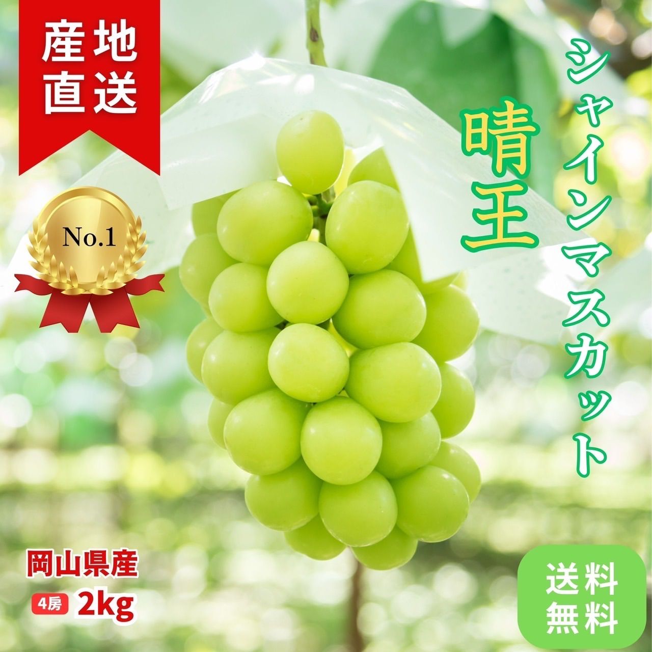 クール便】シャインマスカット 晴王 岡山県産 4〜5房入り 2kg