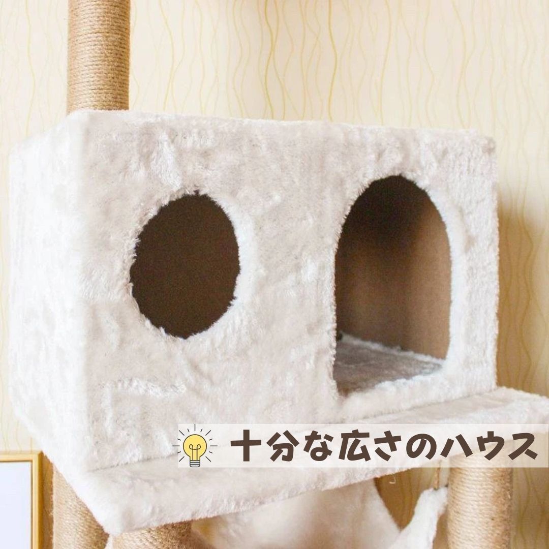多頭飼い 運動不足
