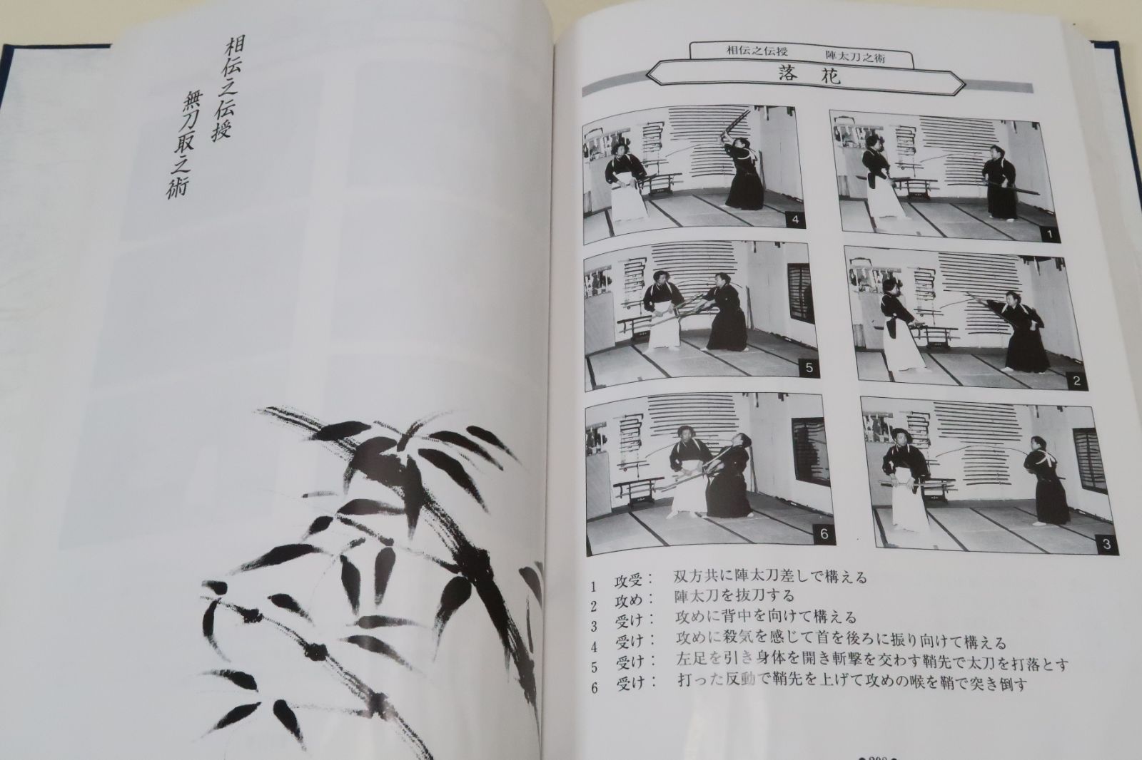 正伝 柳生心眼流兵法術　星国雄　島津兼治 正伝 柳生心眼流兵法術 星国雄 島津兼治 武術[日本古武道大会DVD