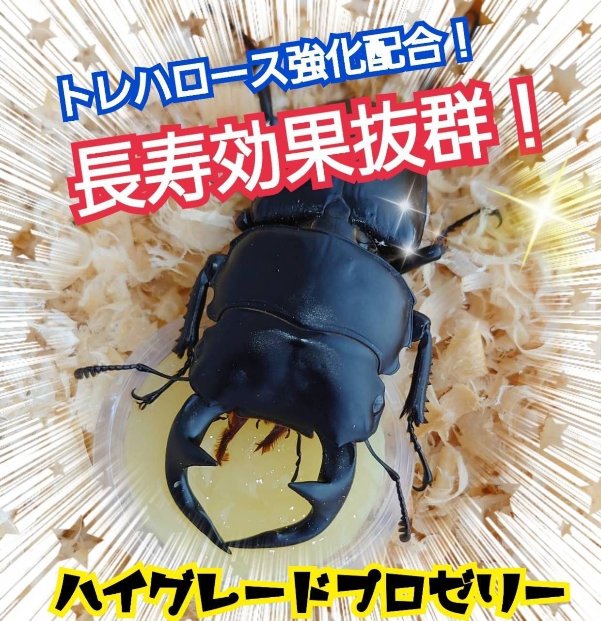 ミタニ ＭＡＸ５０ １６ｇ ５０個入り 昆虫ゼリー カブトムシ クワガタ