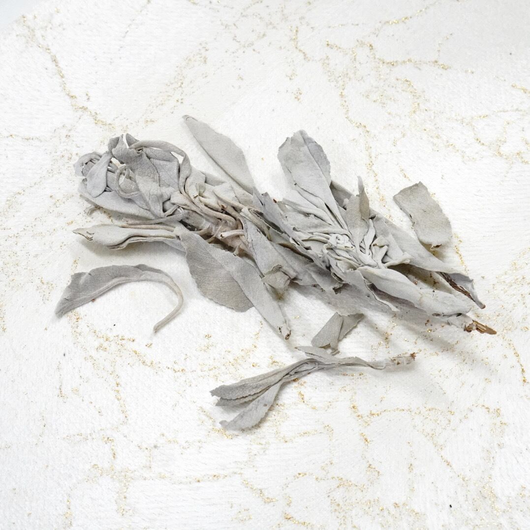 【 ホワイト・セージ 】10g サルビア ハーブ アロマ 浄化 瞑想 お香 無農薬 カリフォルニア デトックス おうち時間