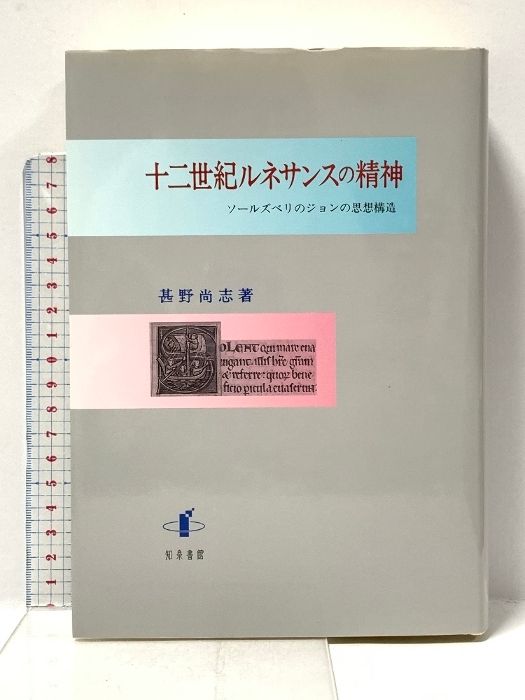 十二世紀ルネサンスの精神: ソールズベリのジョンの思想構造 知泉書館 甚野 尚志