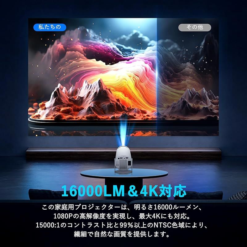 4K対応プ