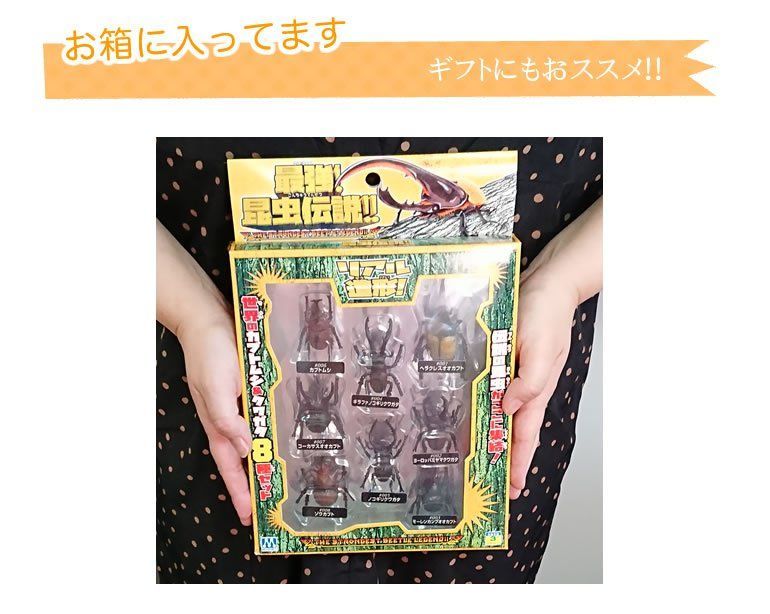 昆虫伝説 昆虫セット カブトムシ クワガタ 8種 子供用 幼児用