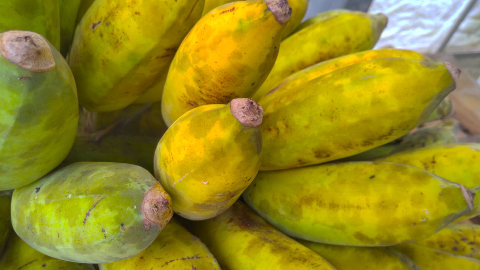 絶品バナナ&ミャンマーバナナ