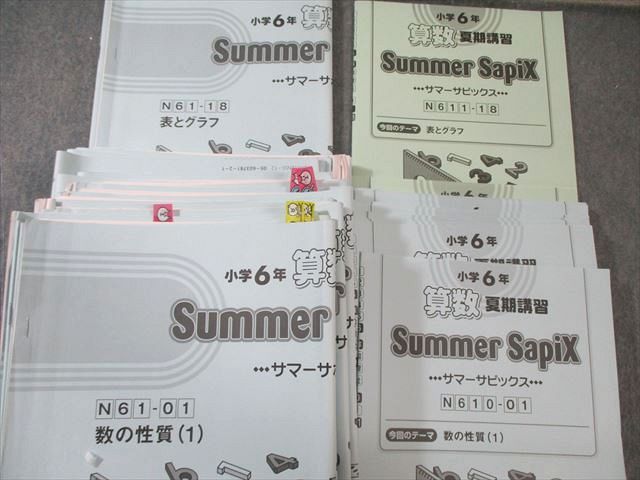SAPIX 小6 サピックス デイリー/スプリング/サマー/ウインター