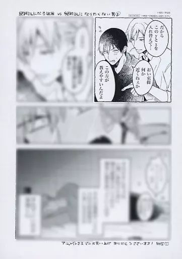 BL 特典　アニメイト他　リーフレット/小冊子 偽りΩは運命に啼く 2冊 小夏うみれ アニメイト 小冊子
