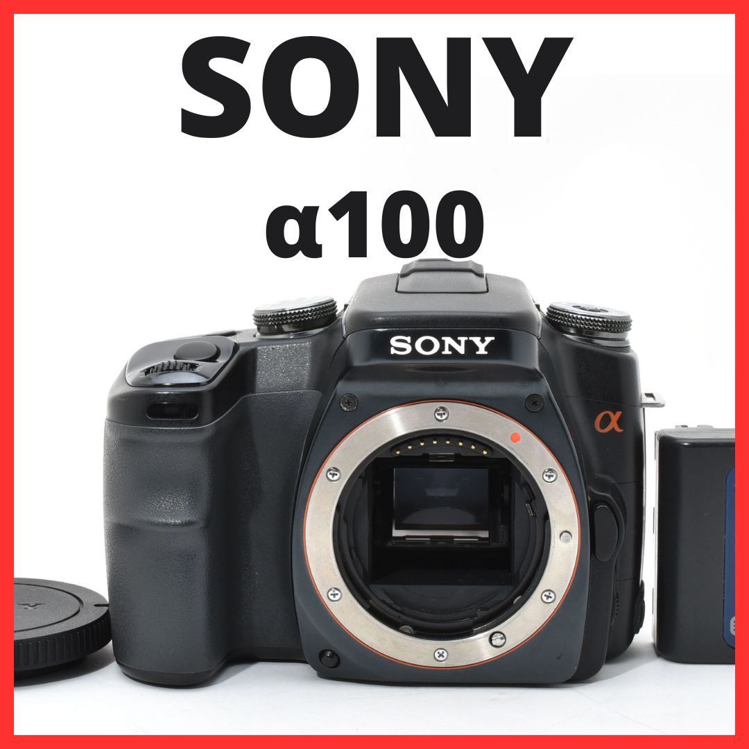 DSLR-A100 Sony 18-70mm f3.5-5.6 ソニー SONY - α with Camera + DSLR