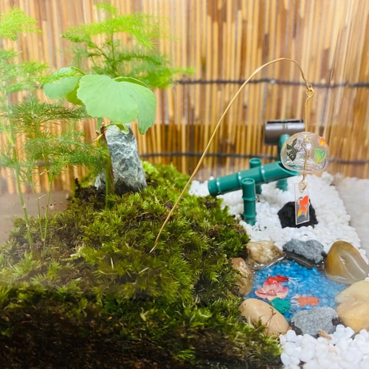 完成品】苔テラリウム 涼やかな和の苔庭 和の癒し アート